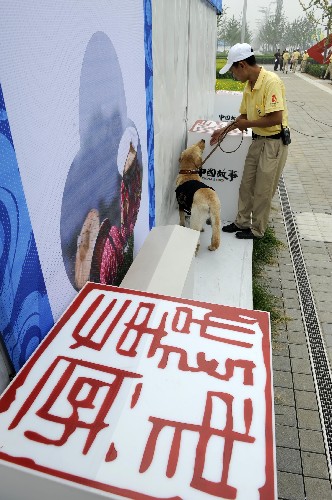 7月27日,搜爆犬對奧林匹克公園內(nèi)的一處臨時建筑進(jìn)行搜爆排查。新華社記者 李紫恒 攝
