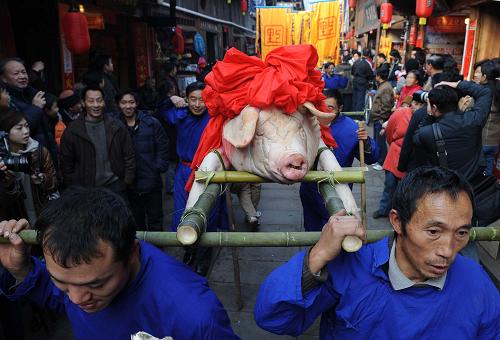 12月13日,上里古鎮(zhèn)人正在“年豬節(jié)”上抬年豬巡游。新華社記者 陳燮 攝